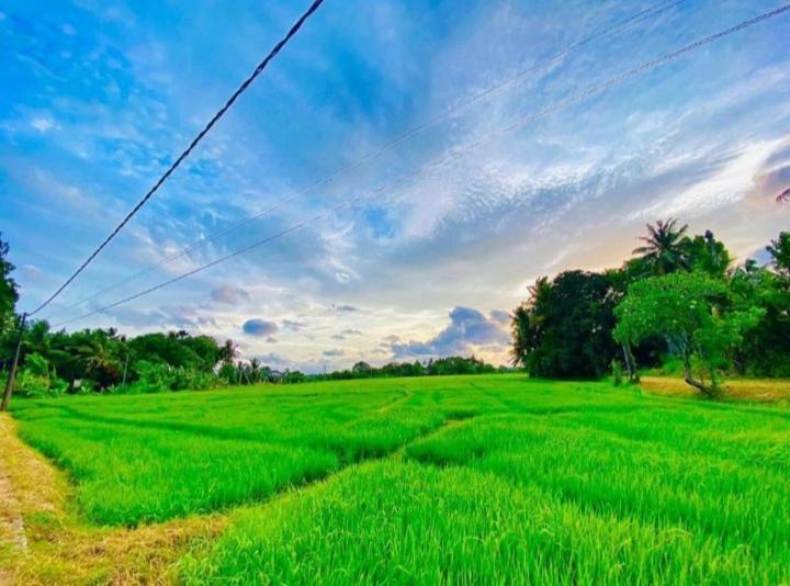 Arani Homestay Polonnaruwa Eksteriør bilde