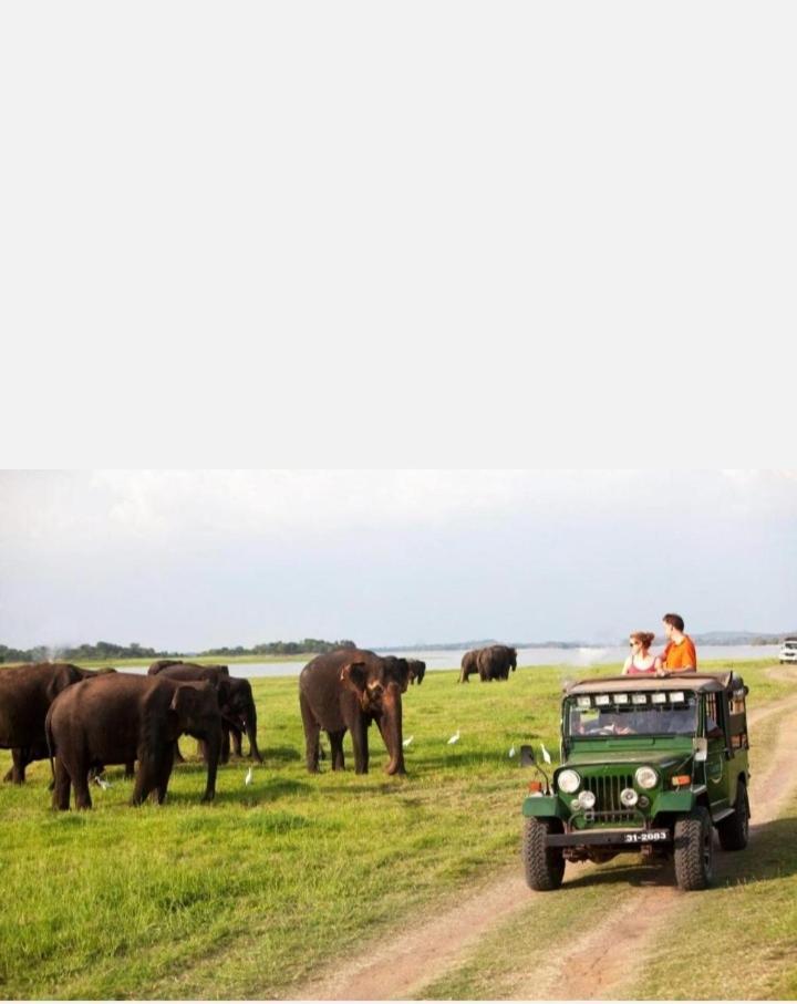 Arani Homestay Polonnaruwa Eksteriør bilde